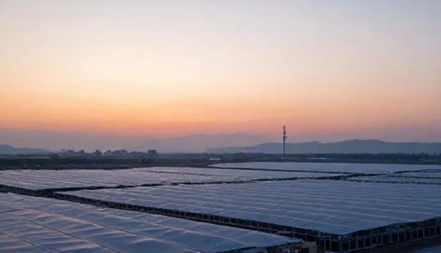 维护服务使用与维护建议的业务优化策略